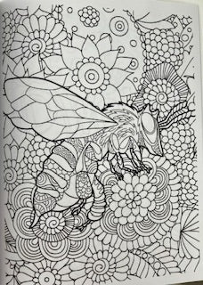 Gardens in Bloom Coloring Book